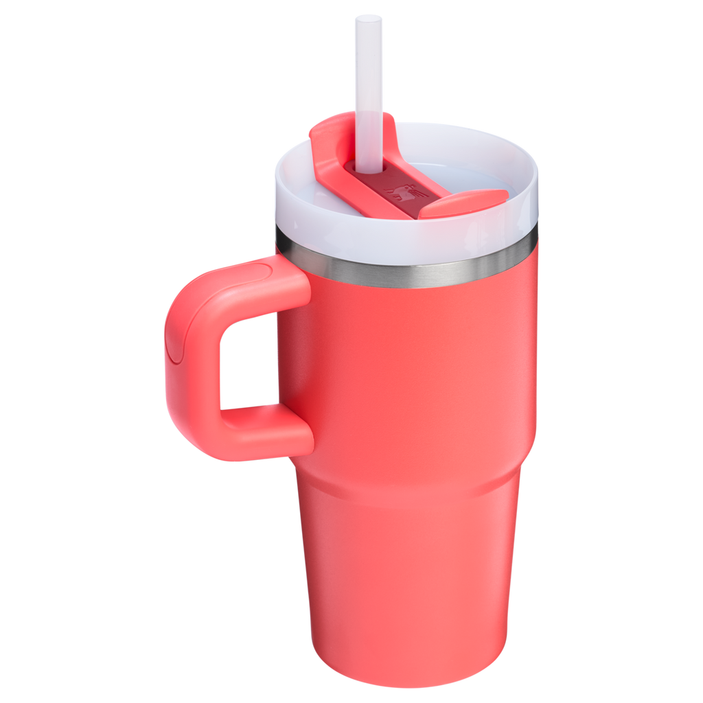 Double-Wall Vacuum The Quencher H2.O Flowstate Tumbler D251V - Double-Wall Vacuum Insulated Travel Tumbler with Straw Detail